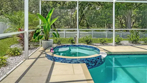 Exterior - 4005 Douglas Hill Pl, Parrish, FL 34219 photo 7 of 17