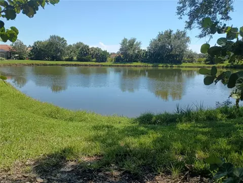 View/Area - 1328 Thornapple Dr, Osprey, FL 34229 photo 5 of 6