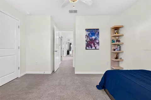 Bedroom - 10137 Charlotte Dr, Parrish, FL 34219 photo 8 of 8