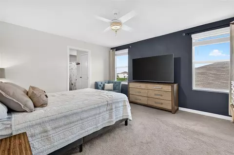 Bedroom - 10137 Charlotte Dr, Parrish, FL 34219 photo 3 of 8