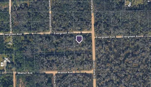 4001 Evergreen Ave, Bunnell, FL 32110 photo 3