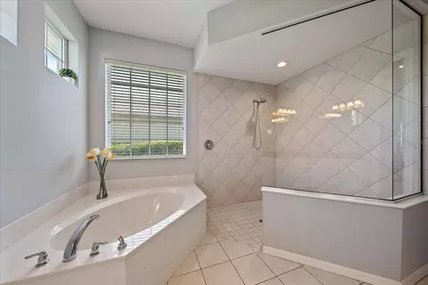 Bath - 8015 Spring Marsh Dr, Bradenton, FL 34201 photo 3 of 3