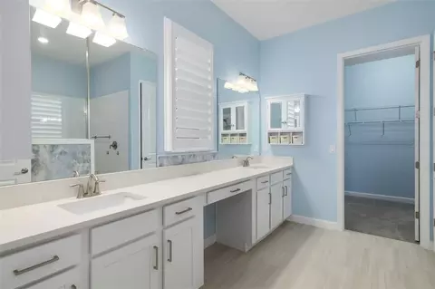 Bath - 12338 Violet Jasper Dr, Parrish, FL 34219 photo 2 of 6