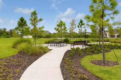 View/Area - 12338 Violet Jasper Dr, Parrish, FL 34219 photo 23 of 23