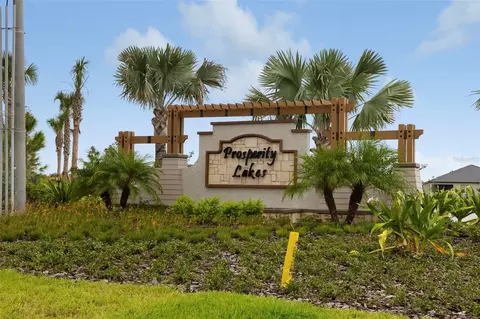 View/Area - 12338 Violet Jasper Dr, Parrish, FL 34219 photo 6 of 23