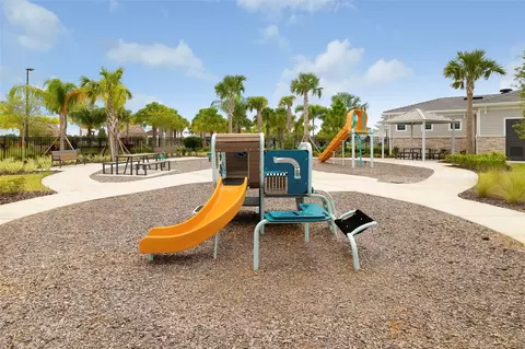 View/Area - 12338 Violet Jasper Dr, Parrish, FL 34219 photo 22 of 23