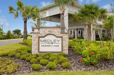 View/Area - 12338 Violet Jasper Dr, Parrish, FL 34219 photo 15 of 23