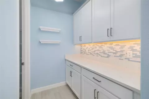 Other - 12338 Violet Jasper Dr, Parrish, FL 34219 photo 5 of 19