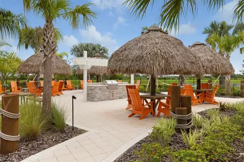 View/Area - 12338 Violet Jasper Dr, Parrish, FL 34219 photo 20 of 23