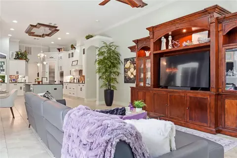 Other - 11432 Savannah Lakes Dr, Parrish, FL 34219 photo 4 of 10