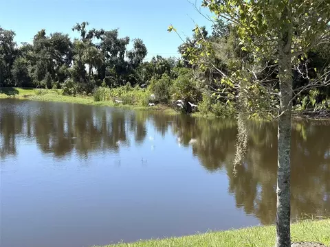 View/Area - 14449 Hammock Oak St, Parrish, FL 34219 photo 8 of 19