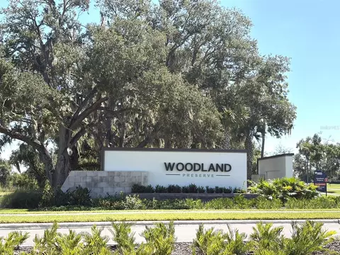 View/Area - 14449 Hammock Oak St, Parrish, FL 34219 photo 1 of 19