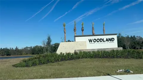 View/Area - 14449 Hammock Oak St, Parrish, FL 34219 photo 3 of 19