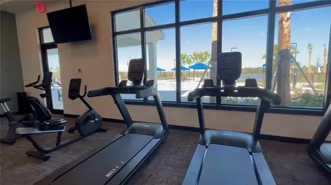 Other - 14449 Hammock Oak St, Parrish, FL 34219 photo 11 of 16