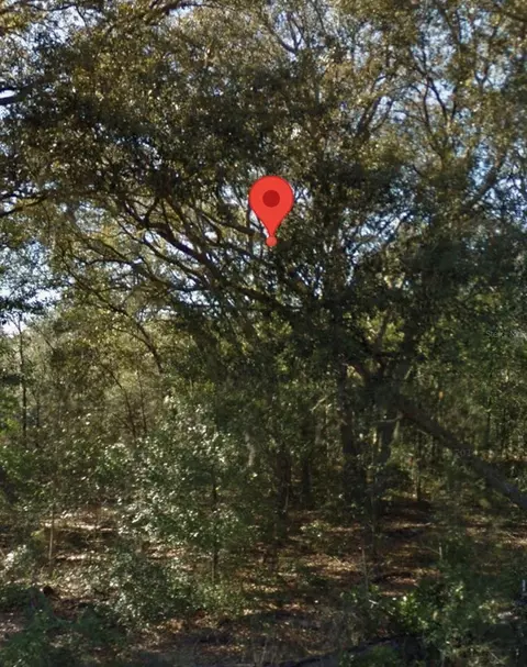 NE 139th Street, Williston, FL 32696 photo 4