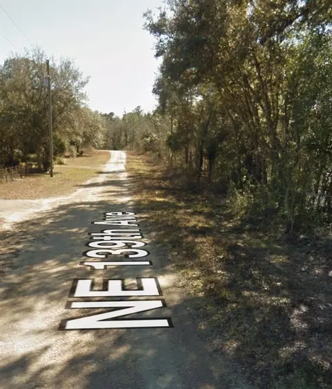 NE 139th Street, Williston, FL 32696 photo 3
