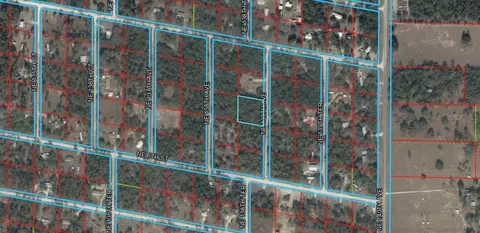 NE 139th Street, Williston, FL 32696 photo 6