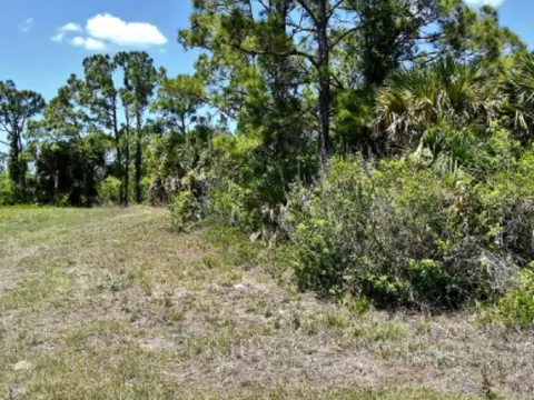 Newman Drive, North Port, FL 34288