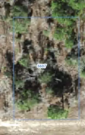 6607 N Bedstrow Blvd, Citrus Springs, FL 34434
