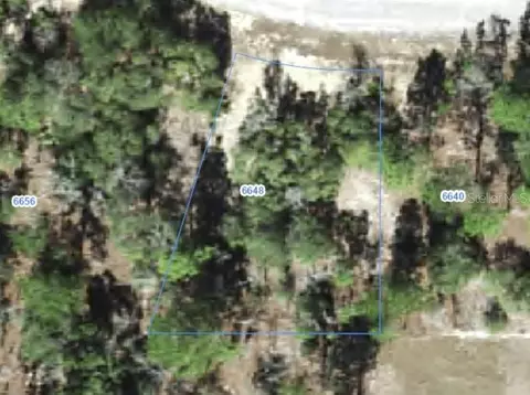 6648 N Sand Dr, Citrus Springs, FL 34433