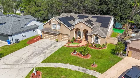 View/Area - 11530 Andy Dr, Riverview, FL 33569 photo 7 of 8