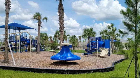 View/Area - 12293 Mountain Island Trl, Parrish, FL 34219 photo 5 of 6