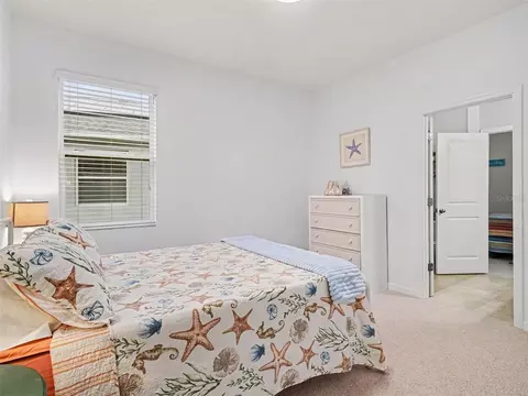 Bedroom - 6466 Devesta Loop, Palmetto, FL 34221 photo 4 of 6