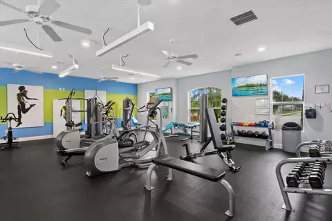 Other - 4105 Deep Creek Ter, Parrish, FL 34219 photo 12 of 13
