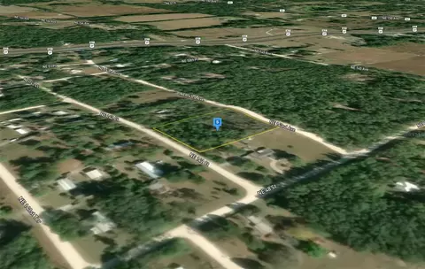4955 NE 142nd Ctr, Williston, FL 32696 photo 2