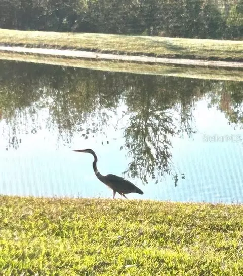 View/Area - 6827 Gosport Cv, Bradenton, FL 34202 photo 8 of 22