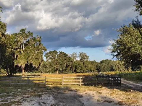Other - 650 NE 170th Ave, Williston, FL 32696 photo 4 of 7