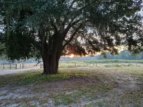 Exterior - 650 NE 170th Ave, Williston, FL 32696 photo 1 of 3