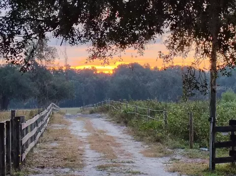 Other - 650 NE 170th Ave, Williston, FL 32696 photo 2 of 7