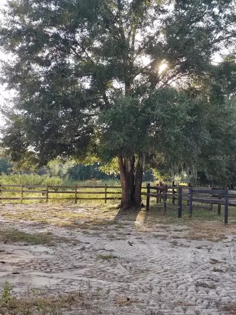 Other - 650 NE 170th Ave, Williston, FL 32696 photo 5 of 7