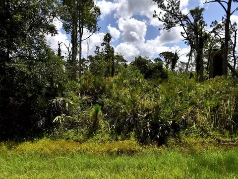 lot S 29 30 Vespucius St, North Port, FL 34287