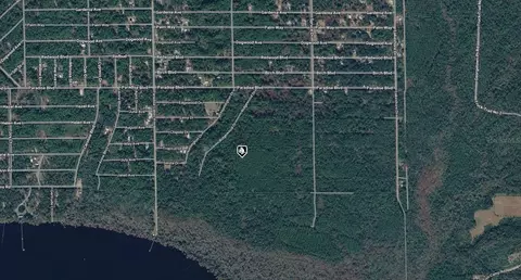 302 Siesta Dr, Georgetown, FL 32139 photo 3