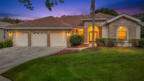 8704 Broadgreen Ct, Tampa, FL 33647