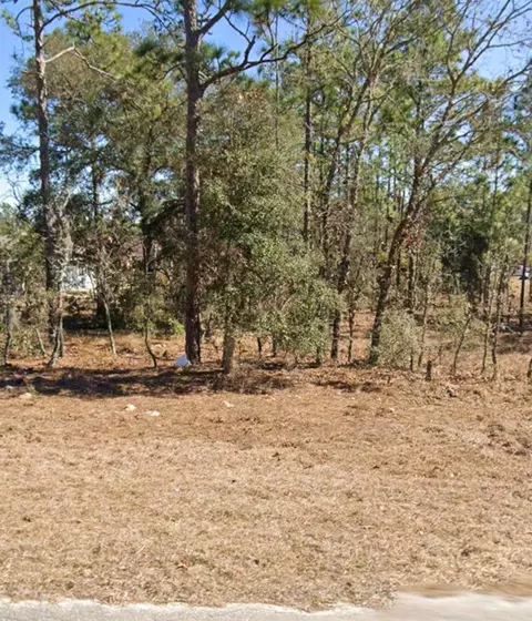NE 150th Avenue, Williston, FL 32696 photo 4