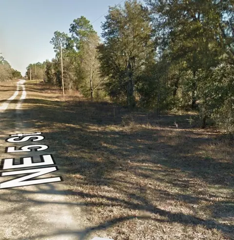 NE 5th Street, Williston, FL 32696 photo 5