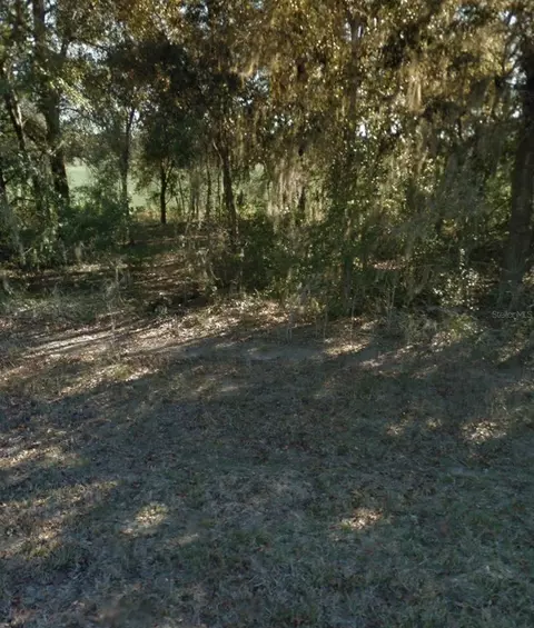NE 5th Street, Williston, FL 32696 photo 4