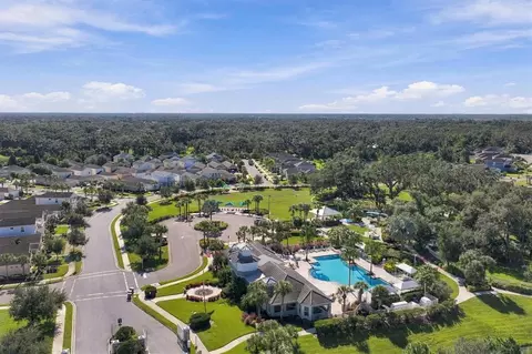 View/Area - 3816 Shimmering Oaks Dr, Parrish, FL 34219 photo 16 of 21