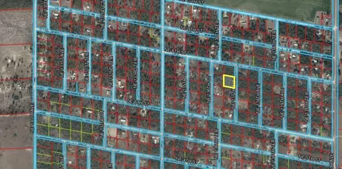 NE 137th Avenue, Williston, FL 32696 photo 4
