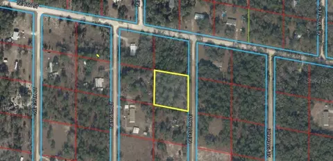 NE 137th Avenue, Williston, FL 32696 photo 2