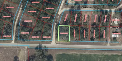 E Levy Street, Williston, FL 32696 photo 2