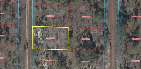 NE 151 Avenue, Williston, FL 32696 photo 2