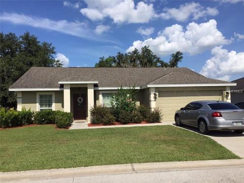 4580 Turner Oaks Dr, Mulberry, FL 33860 photo 1