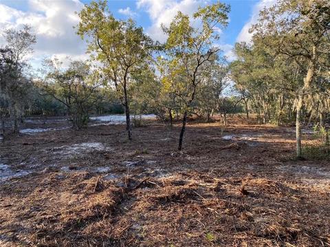 2194 Sand Pine Trl, Frostproof, FL 33843 photo 1