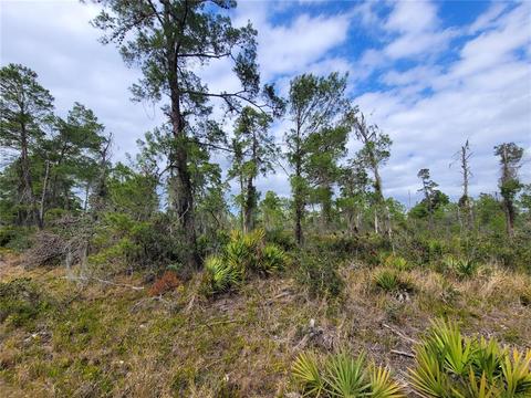424 Quail Ave, Sebring, FL 33872 photo 1
