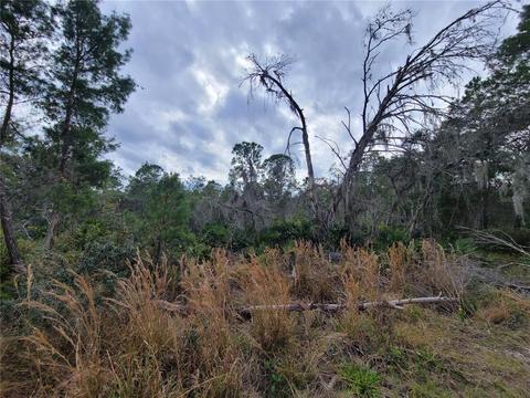 561 Quail Ave, Sebring, FL 33872 photo 1