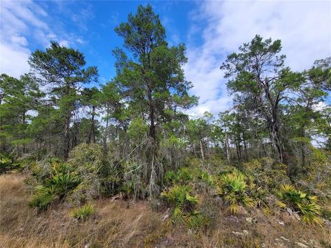 424 Parakeet Ave, Sebring, FL 33872 photo 1